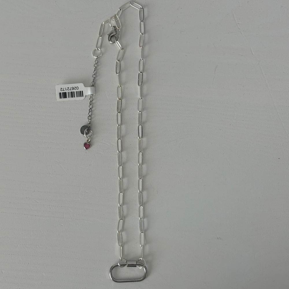 Silver Paperclip Charm Necklace with Carabiner Charm Clasp